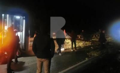 На Солотчинском шоссе в Рязани дерево упало на проезжую часть